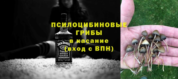 эйфоретик Аркадак