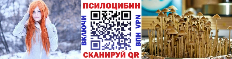 Купить  Балахна  Галлюциногенные грибы MAGIC MUSHROOMS 
